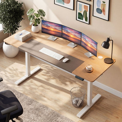 Electric Standing Desk 63x24 Inch with Memory Presets