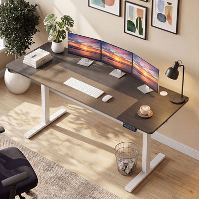 Electric Standing Desk 63x24 Inch with Memory Presets