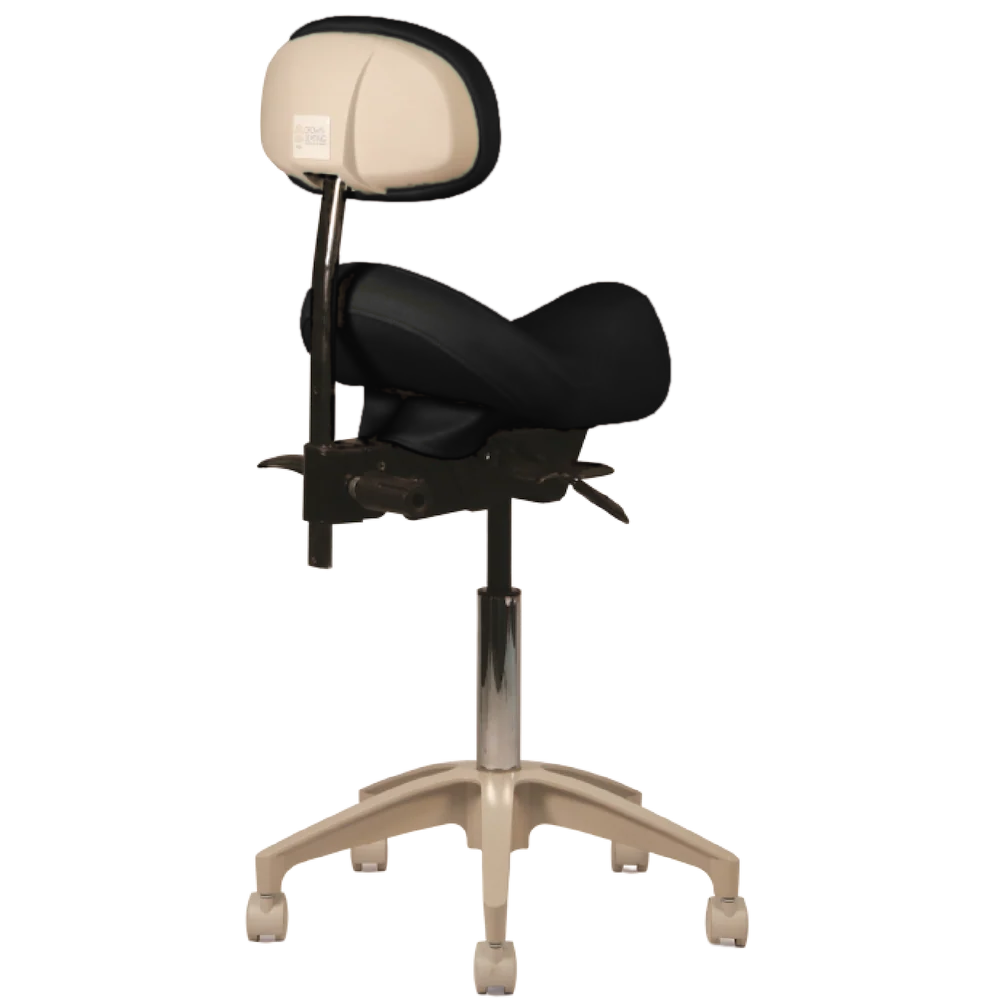 Apollo (With Backrest)