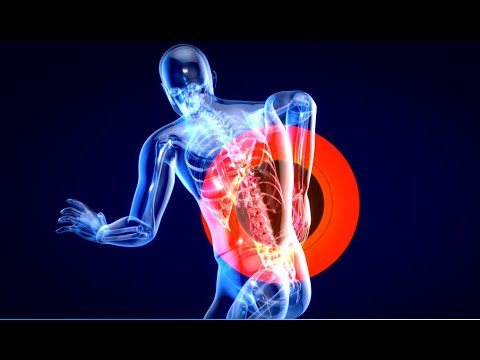 STP Silver Edition Chair