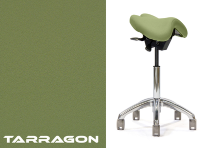 Advanced Saddle