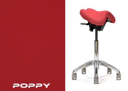 Advanced Saddle