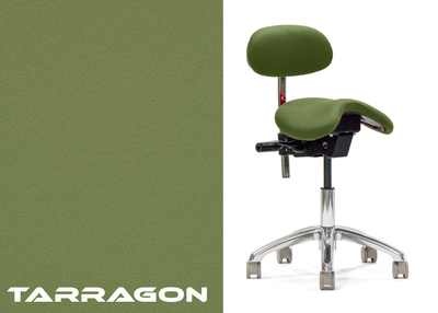 Advanced  Saddle with Backrest