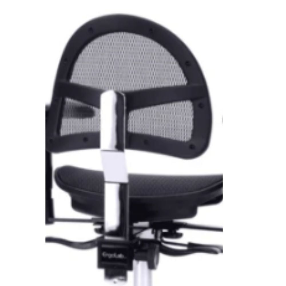 Unwind and Relax: Upgrade Your Chair with the Executive Backrest – ErgoLab