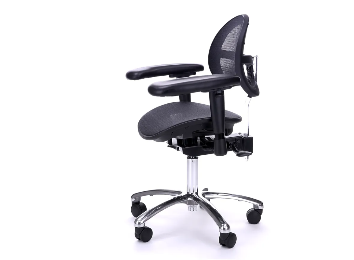 Home Office Reviewed back pain ergonomic chair